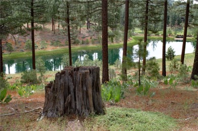 (private lake, pond, creek) Lot For Sale in Portola California