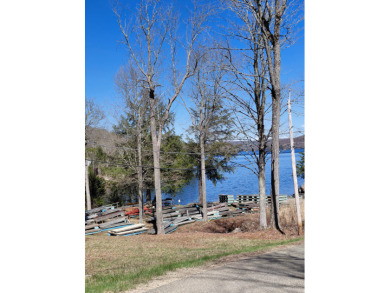 Peaceful Peck Lake! Beautiful lake views from this home! - photo 27