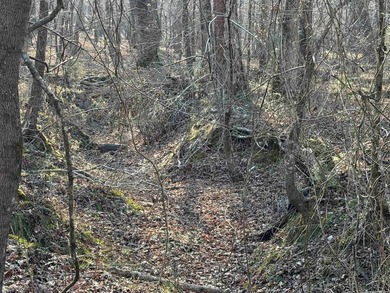 Escape to the natural beauty of the Ozarks with this 16.55+/- - photo 12