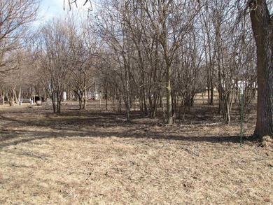 This rural residential lot offers a perfect setting to build - photo 9