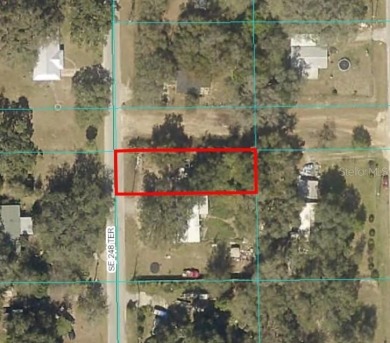 (private lake, pond, coastal) Lot For Sale in Umatilla Florida