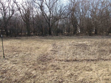This rural residential lot offers a perfect setting to build - photo 6