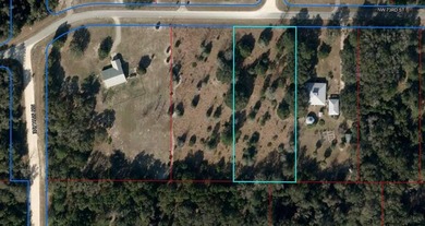 Long Pond - Levy County Lot For Sale in Chiefland Florida
