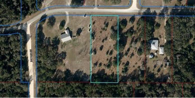 Long Pond - Levy County Lot For Sale in Chiefland Florida