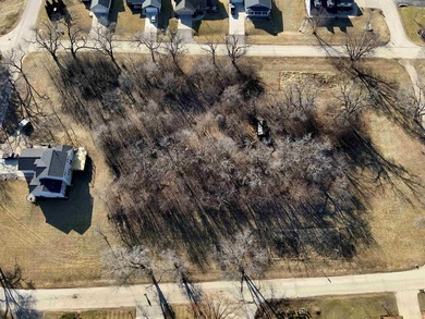 This rural residential lot offers a perfect setting to build - photo 4