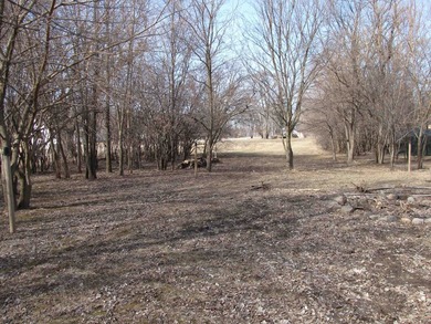 This rural residential lot offers a perfect setting to build - photo 8
