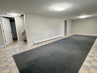 Beautifully remodeled Mackinaw City home just a short walk to - photo 27