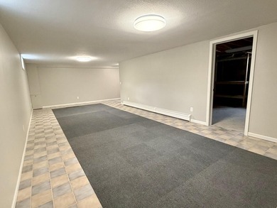 Beautifully remodeled Mackinaw City home just a short walk to - photo 28