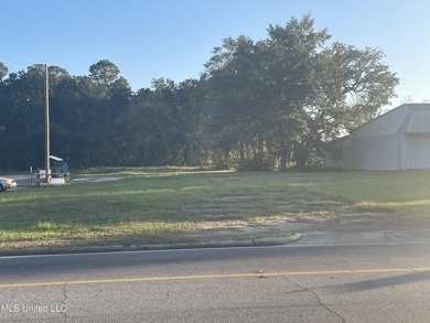 Commercial lot cleared for your business. Access from Old Mobile - photo 1