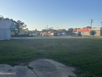 Commercial lot cleared for your business. Access from Old Mobile - photo 2