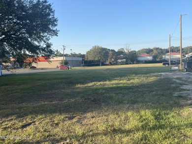 Commercial lot cleared for your business. Access from Old Mobile - photo 3