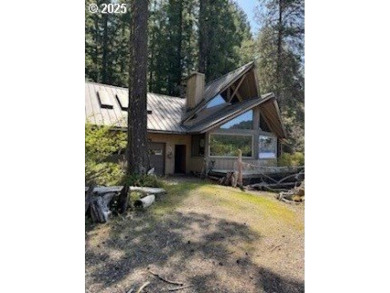 Lake Home For Sale in Cougar, Washington