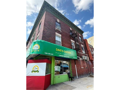 Rare street-corner mixed-use building offers both residential - photo 3