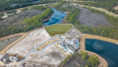 VERY UNIQUE BUILDING OPPORTUNITY in Watersound Camp Creek. Two - photo 4