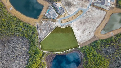 VERY UNIQUE BUILDING OPPORTUNITY in Watersound Camp Creek. Two - photo 6