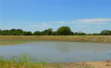 (private lake, pond, creek) Home For Sale in Little River Academy Texas