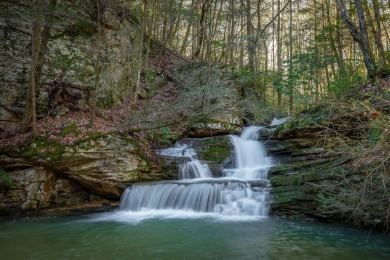 (private lake, pond, creek) Acreage For Sale in Lookout Mountain Georgia