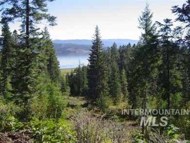 Lake Cascade  Acreage For Sale in Cascade Idaho
