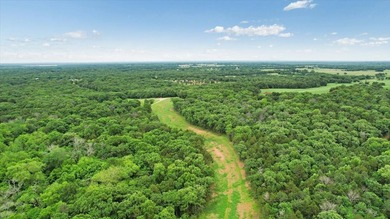 +/-146.79 acres meticulously managed for wildlife, an archer's - photo 35