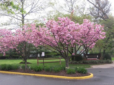 Cameo Townhouses is the best kept secret place to live! This - photo 4