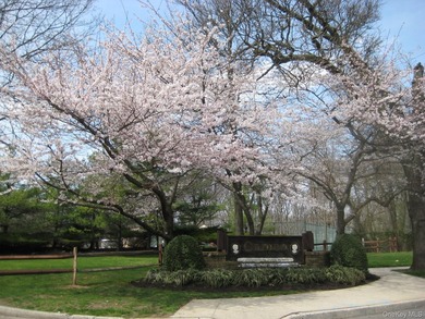 Cameo Townhouses is the best kept secret place to live! This - photo 5