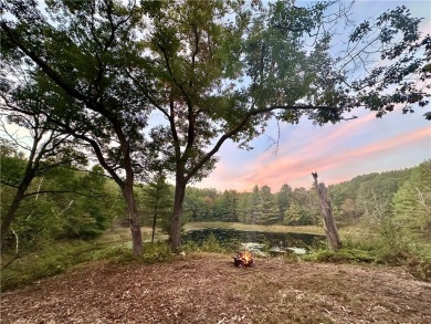 Lake Acreage For Sale in Milltown, Wisconsin