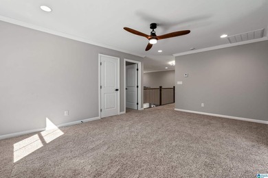 BRAND NEW ON 2 ACRES in McCalla, Tuscaloosa County! This - photo 39