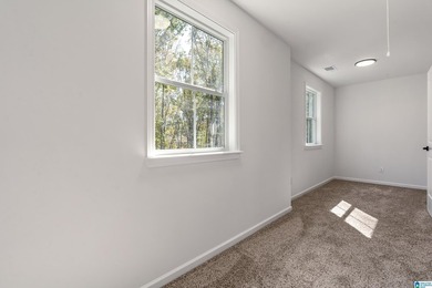 BRAND NEW ON 2 ACRES in McCalla, Tuscaloosa County! This - photo 40