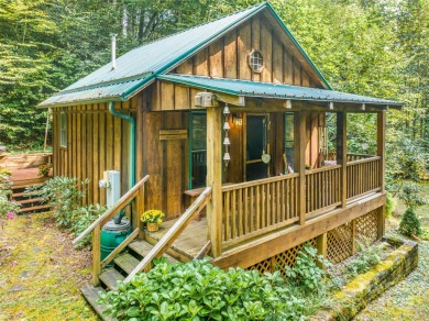 Lake Home For Sale in Marshall, North Carolina