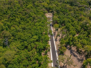 Welcome to The Canopy, a brand-new 25 lot development on - photo 17