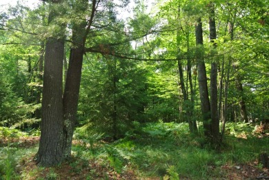 Lakewood Park Lot - Lake Lot For Sale in Minocqua, Wisconsin