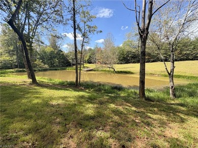 (private lake, pond, coastal) Lot Sale Pending in Sandy Ridge North Carolina