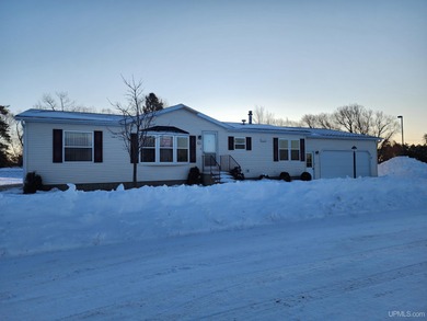 Lake Michigan - Delta County Home For Sale in Escanaba Michigan