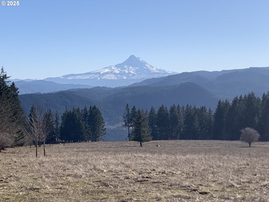 Columbia River - Klickitat County Acreage For Sale in Underwood Washington