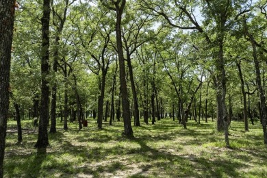 Lake Lot For Sale in Quinlan, Texas