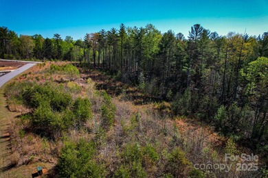 Beautiful lot for sale at Waters Edge on Lake James! Waters Edge - photo 8