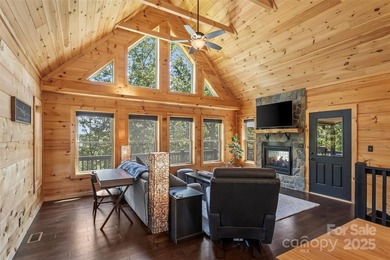 Lake James Gem - Just in Time for Summer. Deeded boat slip, lake - photo 9