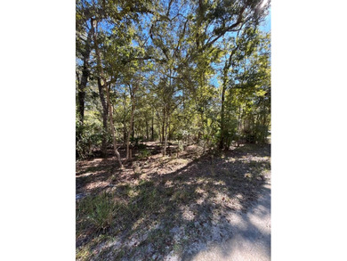 Suwannee River Lot For Sale in Old Town Florida