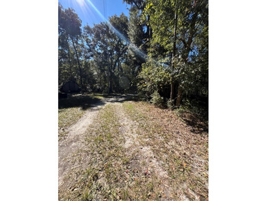 Suwannee River Lot For Sale in Old Town Florida