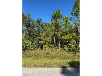 Lehigh Acres Area Lot For Sale in Lehigh Acres Florida