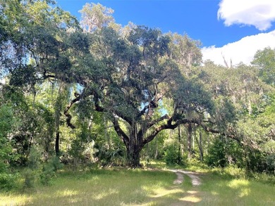 One of a Kind Paynes Prairie Ranch Property is being made - photo 13