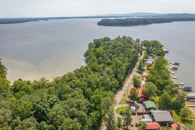 BRING ON THE LAKE TIME! Recreational Lot in Cedar Bluff Raw lot - photo 14