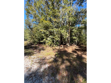 Suwannee River Lot For Sale in Old Town Florida