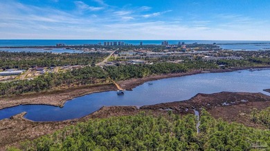 Perfectly positioned in the desirable Perdido Pines Golf Club - photo 36