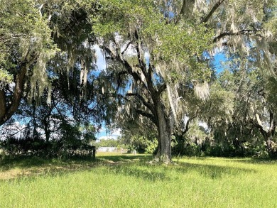 One of a Kind Paynes Prairie Ranch Property is being made - photo 37
