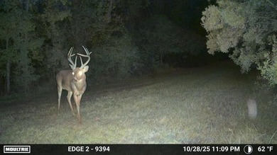 One of a Kind Paynes Prairie Ranch Property is being made - photo 38