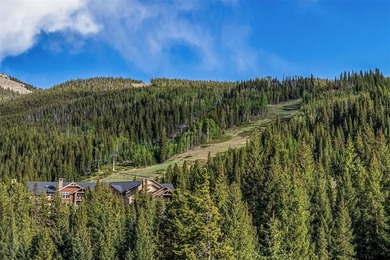 Perfectly positioned at Keystone's River Run Village, this - photo 40