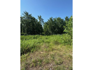Lake Lot For Sale in Gordonville, Texas