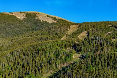Perfectly positioned at Keystone's River Run Village, this - photo 41