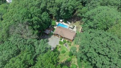 Beautifully updated Hi-Ranch on 1.5 private, park-like acres - photo 43
